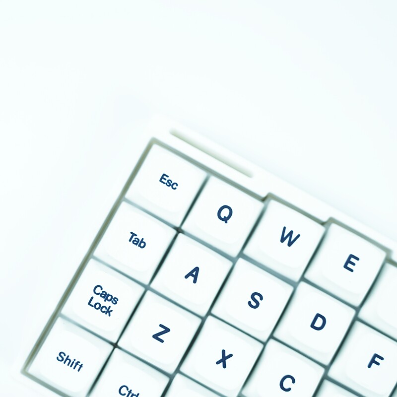 Worne 스플릿 키보드 맞춤형 유선 RGB 핫스왑 듀 - Gaming Keyboard No Rgb 리뷰 및 가격